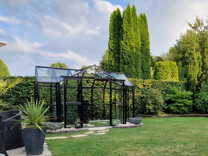 De afgebouwde tuinkas in de tuin, met coniferen erachter