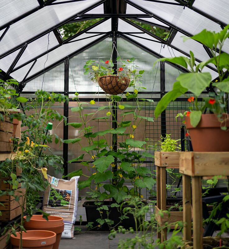 Een tuinkas van binnen, met planten op houten tafels, terracotta potten en een hangmand met bloemen